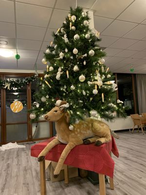 Foto 18 uit Kersversieringen2021