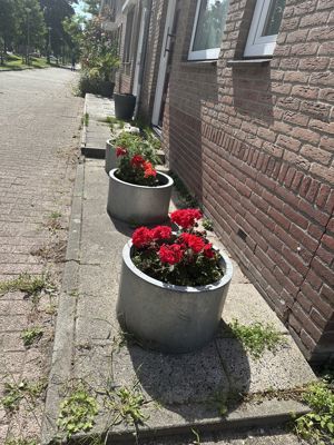 Foto 359 uit Rondje Beverwaard 2026