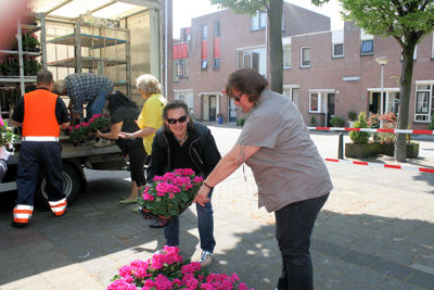 Foto 18 uit Opzoomeren20-05