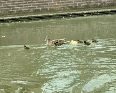 Foto 72 uit schouwen_scholieren