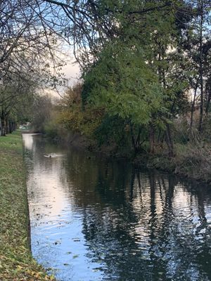 Foto 425 uit Rondje Beverwaard 2026