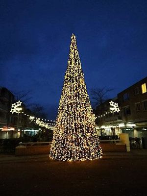 Foto 5 uit Grote Kerstboom WC