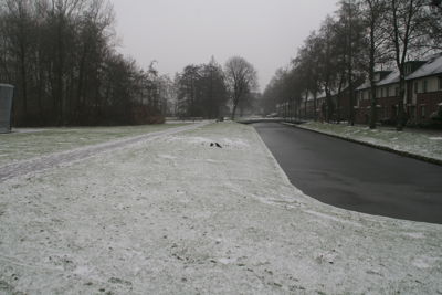 Foto 3 uit WinterIn Beverwaard