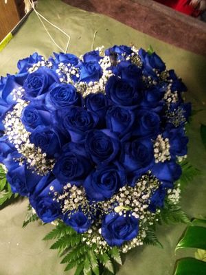 Foto 301 uit NeelyshaBloemen