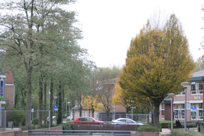 Foto 190 uit Herfst In Beverwaard