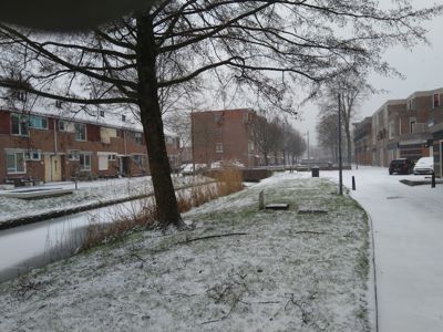 Foto 197 uit WinterIn Beverwaard