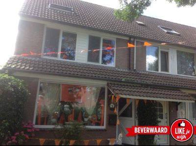 Foto 5 uit OranjeInBeverwaard