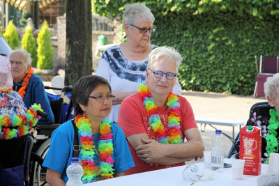 Foto 235 uit Ouderen4daagseSlot