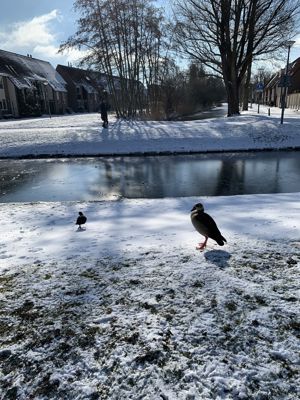 Foto 183 uit WinterIn Beverwaard