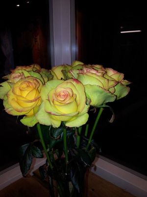 Foto 163 uit NeelyshaBloemen