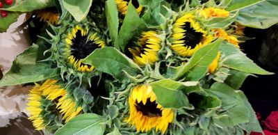 Foto 2 uit 1Jaar Bloemenzaak