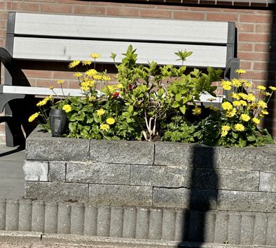 Foto 187 uit Rondje Beverwaard 2026