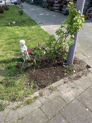 Foto 151 uit Rondje Beverwaard 2026