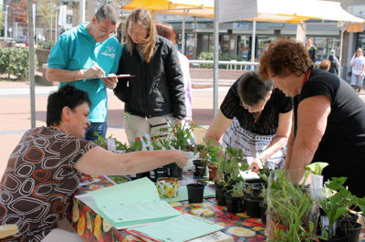 Foto 36 uit Tuin-Academie25-4_9