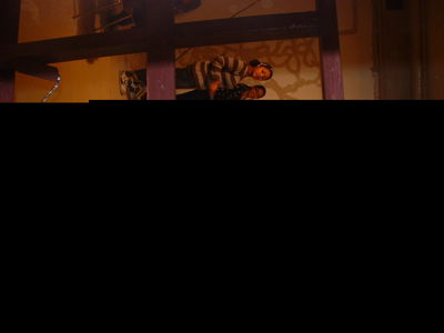 Foto 33 uit WoonBronHaLLoWeen