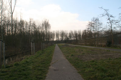 Foto 527 uit StratenBEVERWAARD