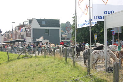 Foto 10 uit Paardenmarkt 2018
