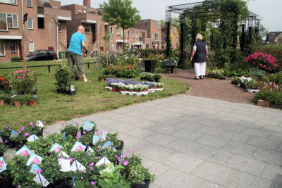 Foto 14 uit TropischeTuin16_07