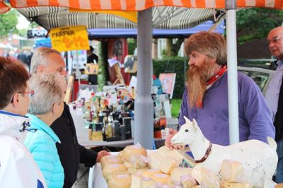 Foto 60 uit Paardenmarkt29-6