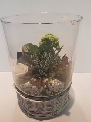 Foto 82 uit NeelyshaBloemen