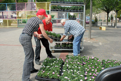 Foto 41 uit Opzoomeren20-05