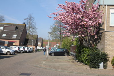 Foto 111 uit Herfst In Beverwaard