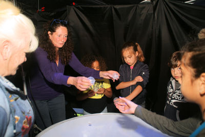 Foto 82 uit TentakelFestival17-9