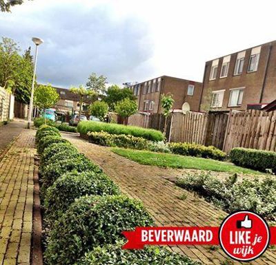 Foto 394 uit LIKEJEWIJK FOTO'S_2