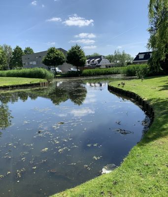 Foto 120 uit Rondje Beverwaard 2026