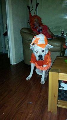 Foto 24 uit OranjeInBeverwaard