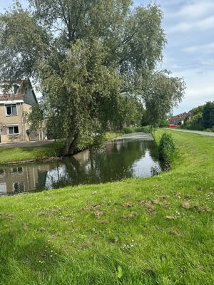 Foto 605 uit Rondje Beverwaard 2026