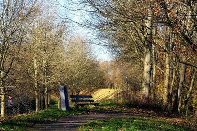 Foto 105 uit Herfst In Beverwaard