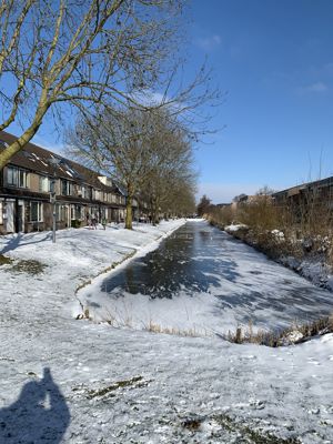 Foto 182 uit WinterIn Beverwaard