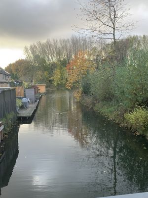 Foto 420 uit Rondje Beverwaard 2026