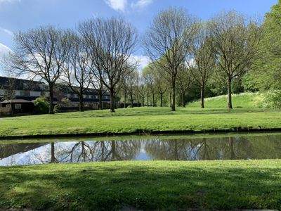 Foto 256 uit StratenBEVERWAARD