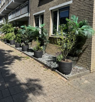 Foto 566 uit Rondje Beverwaard 2026