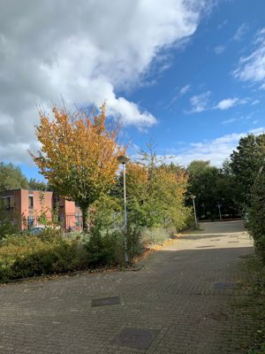 Foto 81 uit Herfst In Beverwaard