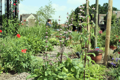 Foto 30 uit Tropische Tuin12_6