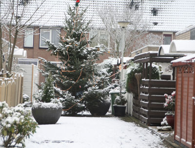 Foto 240 uit WinterIn Beverwaard