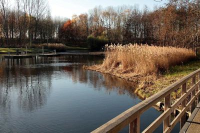 Foto 16 uit Herfst In Beverwaard