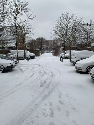 Foto 149 uit WinterIn Beverwaard