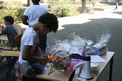 Foto 41 uit VakantieBeverwaard