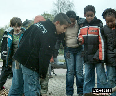 Foto 128 uit bloembollen planten