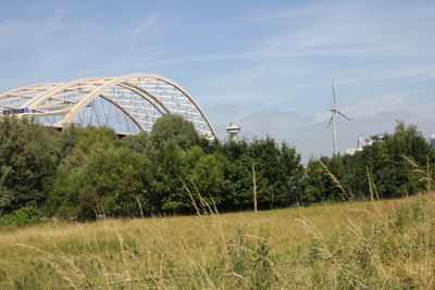 Foto 43 uit Paardenmarkt 2018