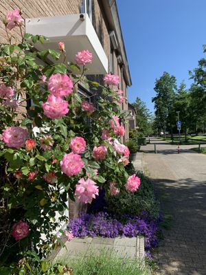 Foto 62 uit Rondje Beverwaard 2026