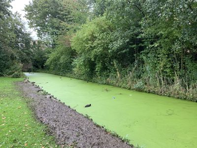 Foto 433 uit Rondje Beverwaard 2026