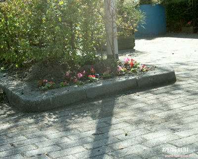 Foto 51 uit opzoomeren 2006 bw