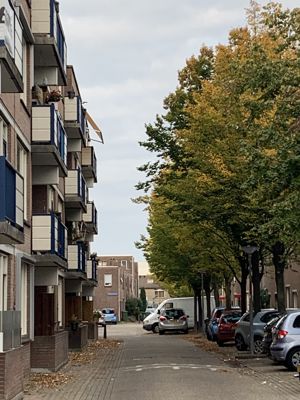 Foto 402 uit Rondje Beverwaard 2026