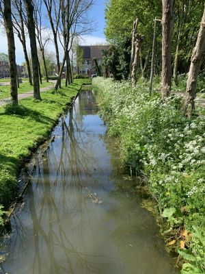 Foto 14 uit Lente En Zomer 2022
