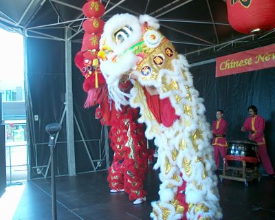 Foto 28 uit chineesnieuwjaar9_2